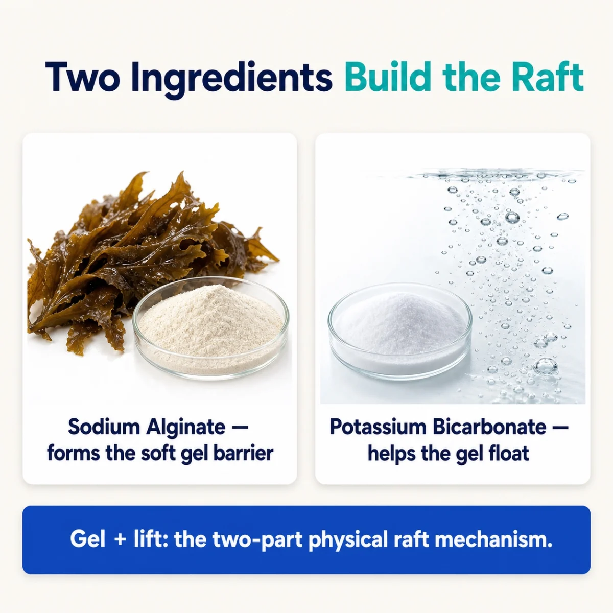 Sodium alginate and potassium bicarbonate form the two-part raft system
